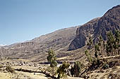 The Colca Valley is one of the most intensively terraced regions in the Andes 